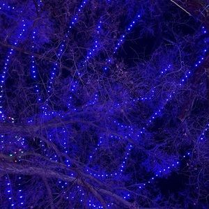 Meet your Posher, Tim